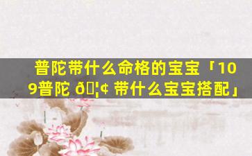 普陀带什么命格的宝宝「109普陀 🦢 带什么宝宝搭配」